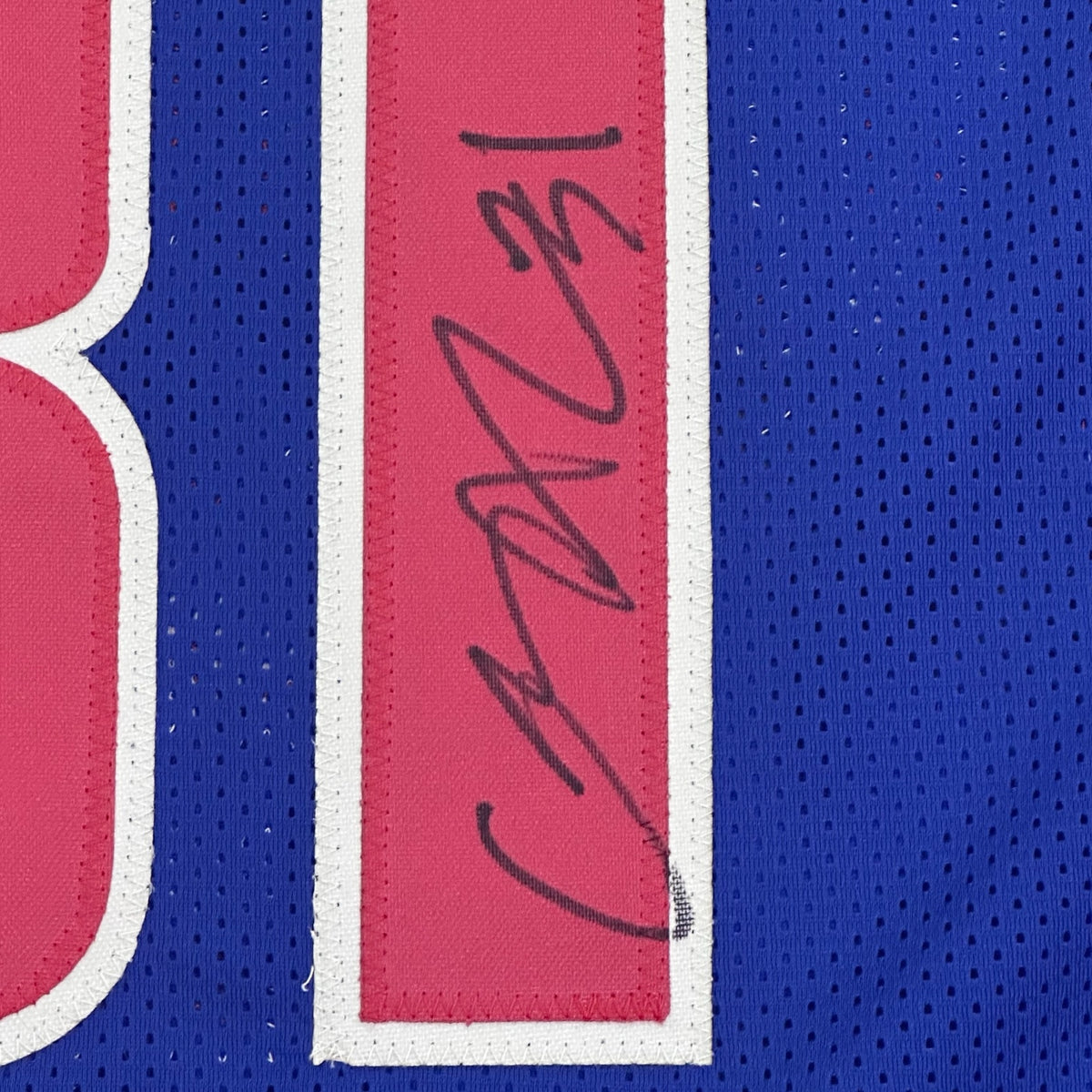 Caron Butler Autographed Detroit (Blue #31) Custom Stitched Jersey - JSA