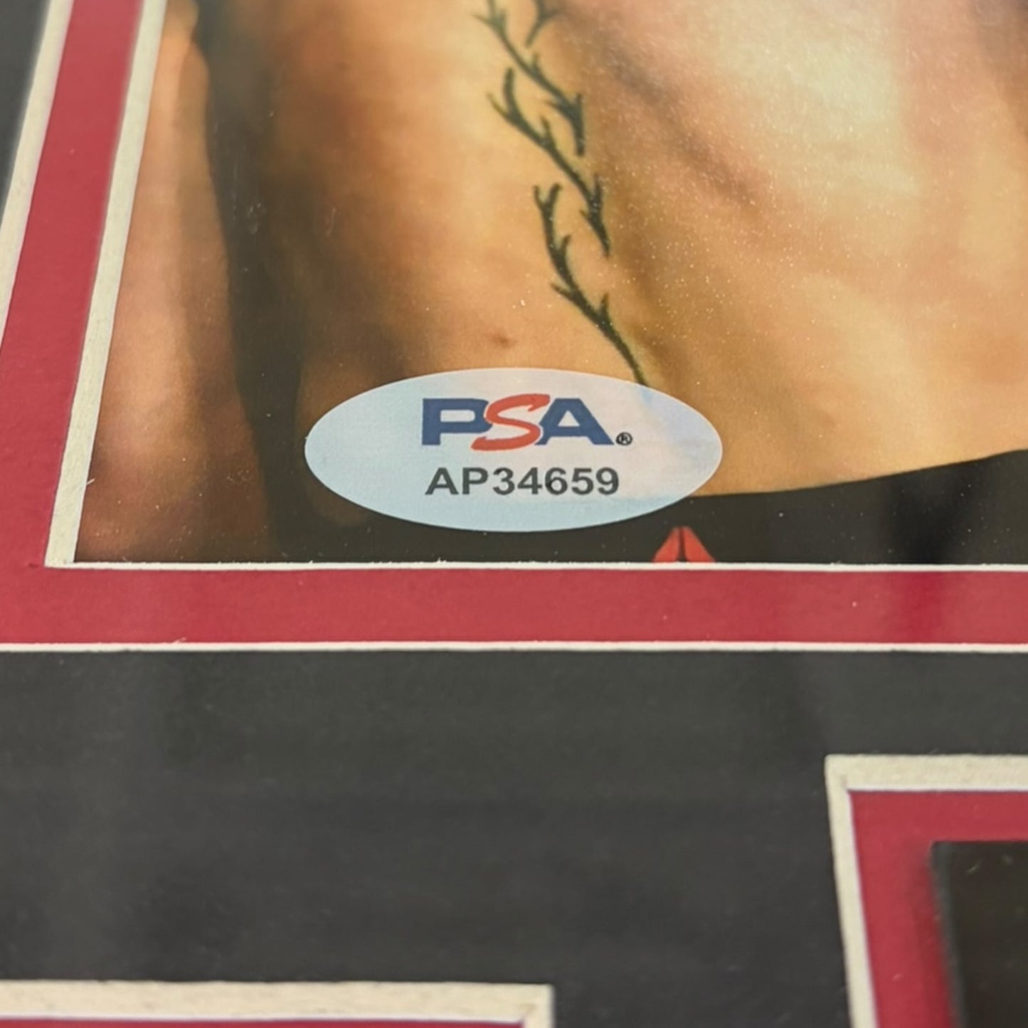Dustin Poirier Autographed UFC (vs McGregor) Deluxe Framed 8x10 Photo - PSA