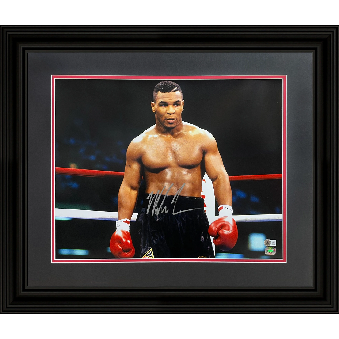 Mike Tyson Autographed Boxing (Horizontal) Deluxe Framed 16x20 Photo - JSA