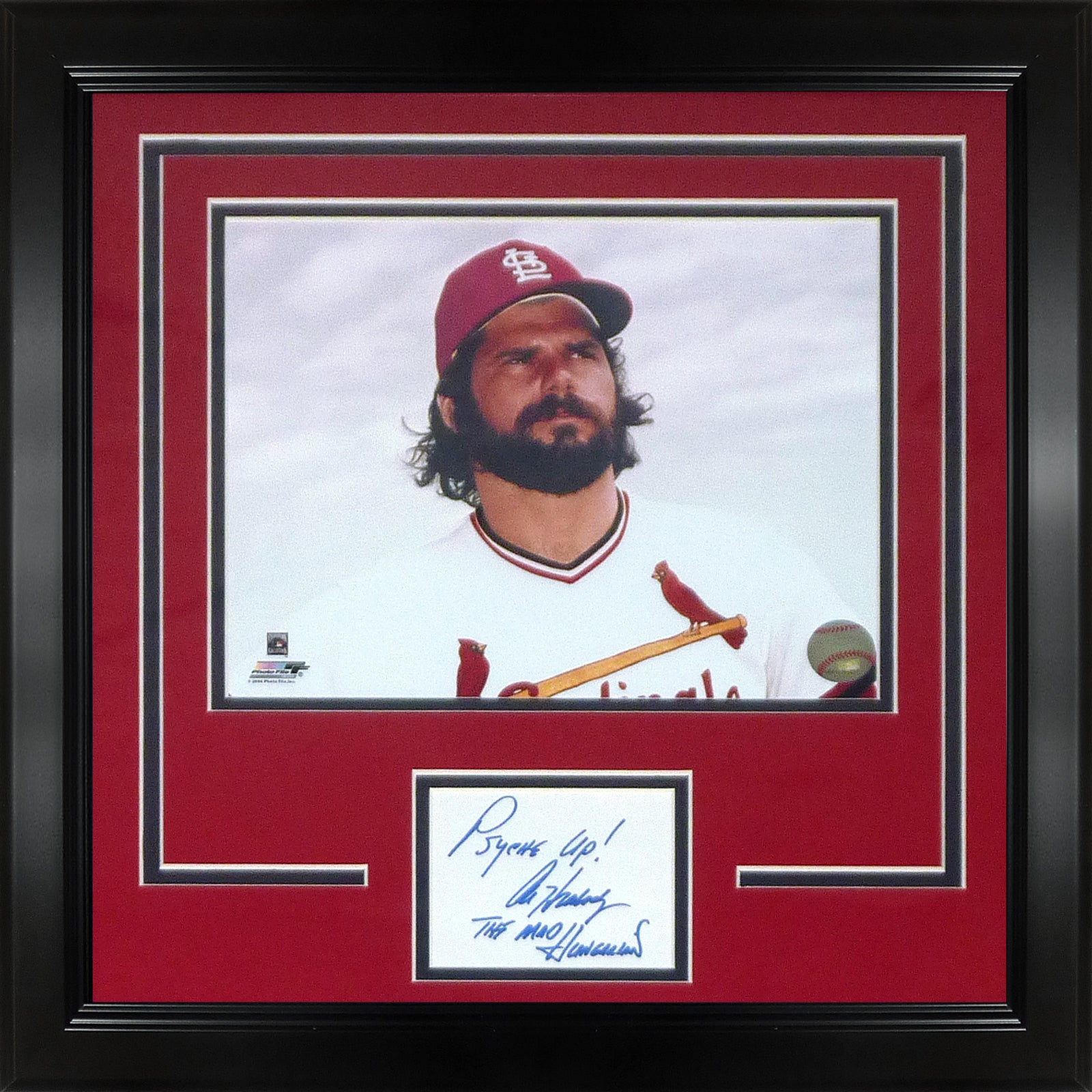 Al Hrabosky Autographed St. Louis Cardinals “Signature Series” Frame – Palm  Beach Autographs LLC