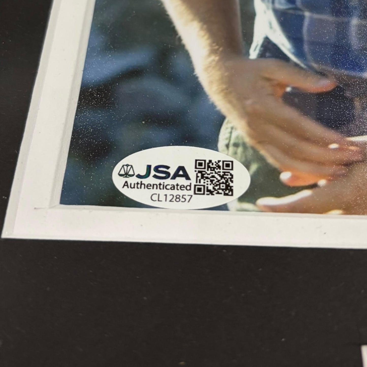 Adam Sandler And David Spade Autographed Grown Ups Deluxe Framed 8x10 Photo - JSA