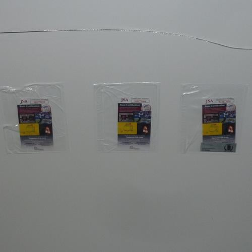 The Hangover Full-Size Movie Poster Deluxe Framed with Cooper, Galifianakis and Helms Autographs - JSA