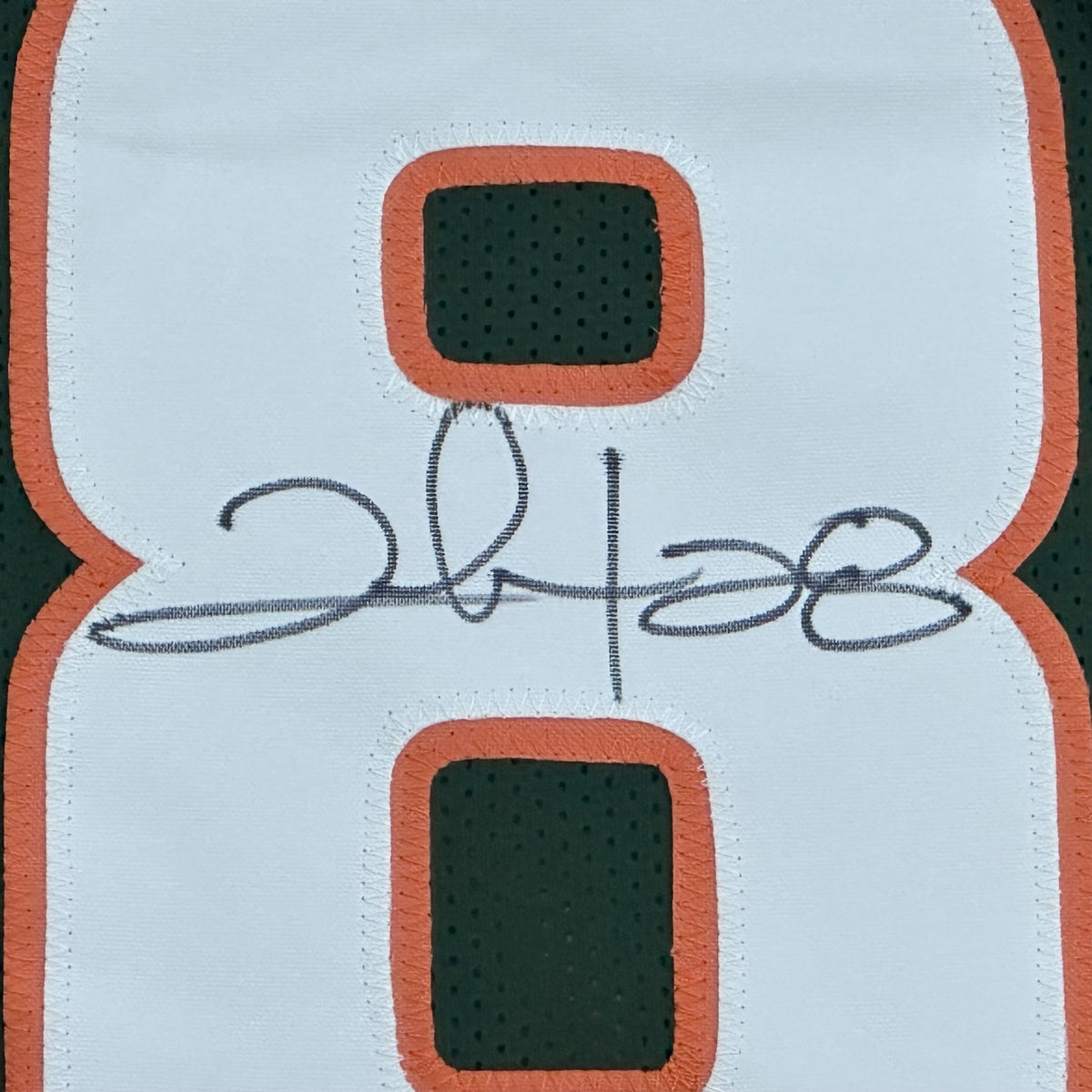 Clinton Portis Autographed Miami Hurricanes (Green #28) Custom Jersey - JSA