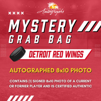 Mystery Grab Bag - Detroit Red Wings NHL 8x10 Autographed Photo