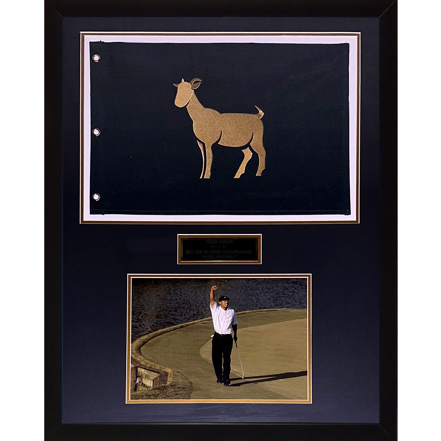 Tiger Woods TPC The Players Championship GOAT Flag Deluxe Framed with 11x14 Photo  Better Than Most