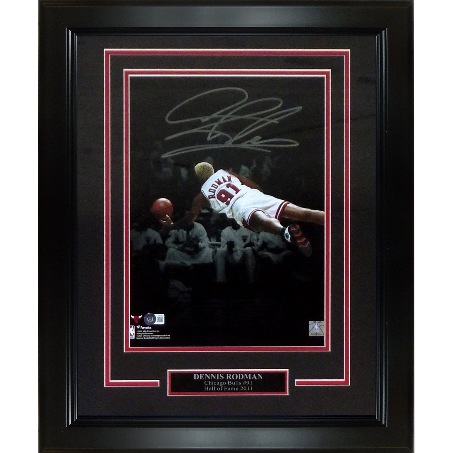 Dennis Rodman Autographed Chicago Bulls (Spotlight Dive) Deluxe Framed 11x14 Photo - JSA