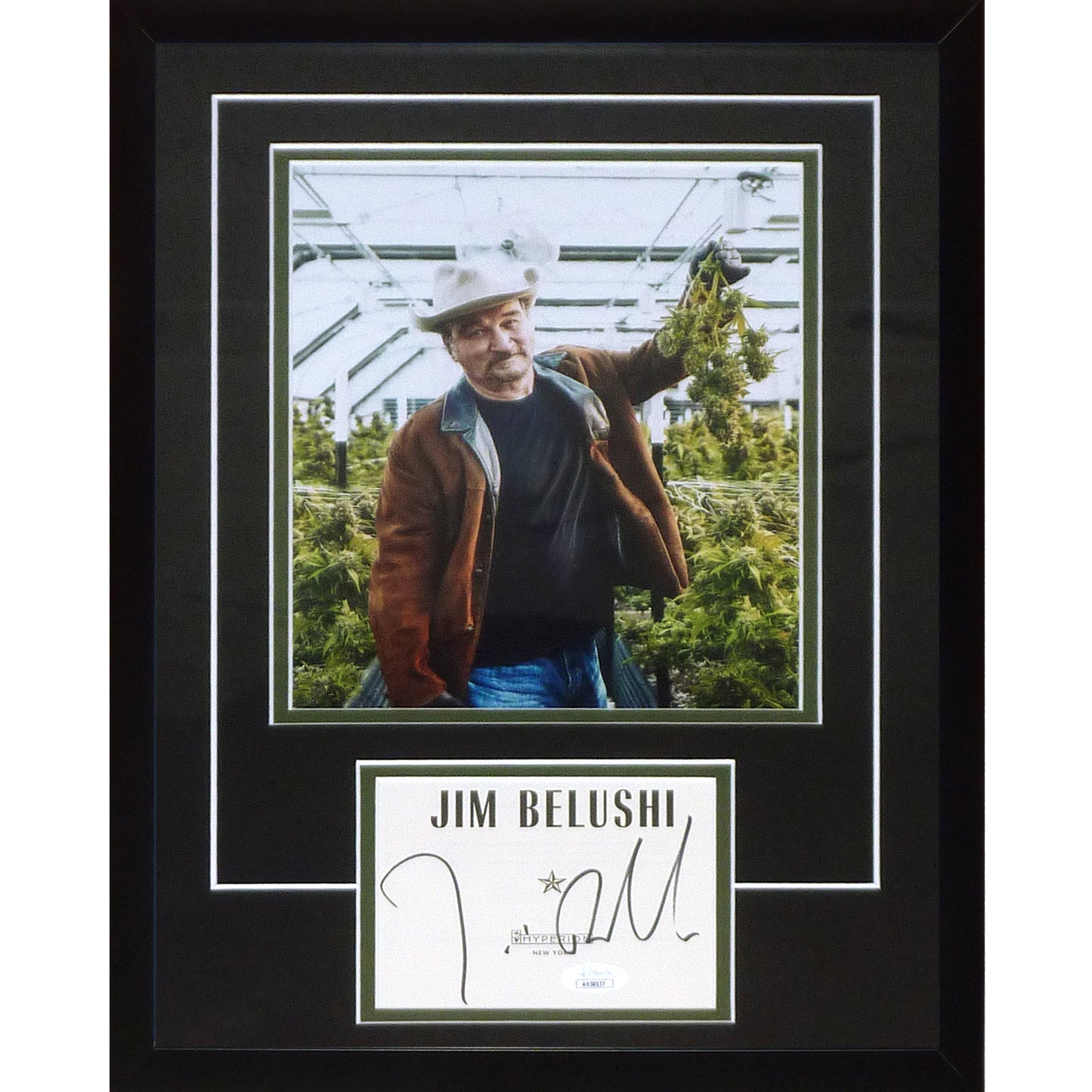 Jim Belushi Autographed Signature Series Frame - JSA