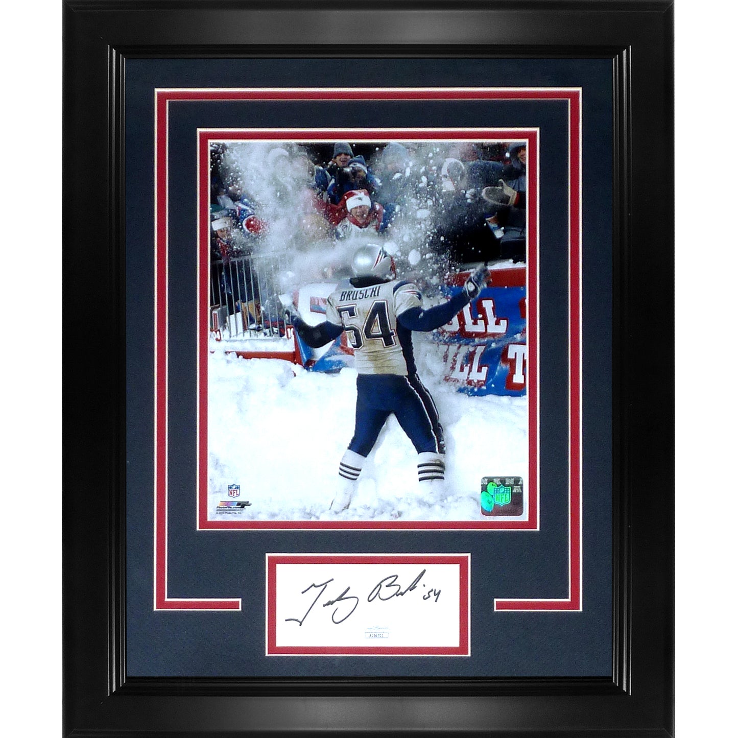 Tedy Bruschi Autographed New England Patriots (Snow Shot) "Signature Series" Frame - JSA