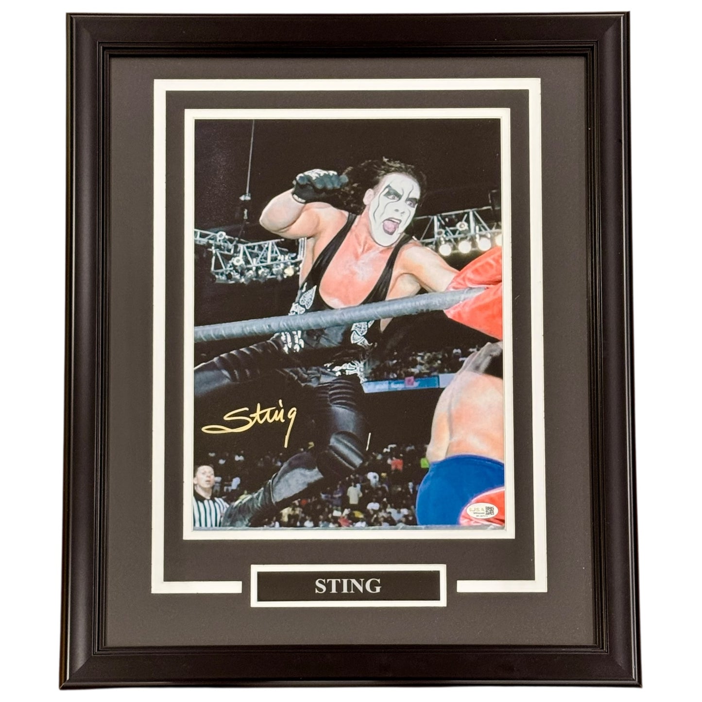 Sting Autographed WCW Wrestling (Flying in Air) Deluxe Framed 11x14 Photo - JSA