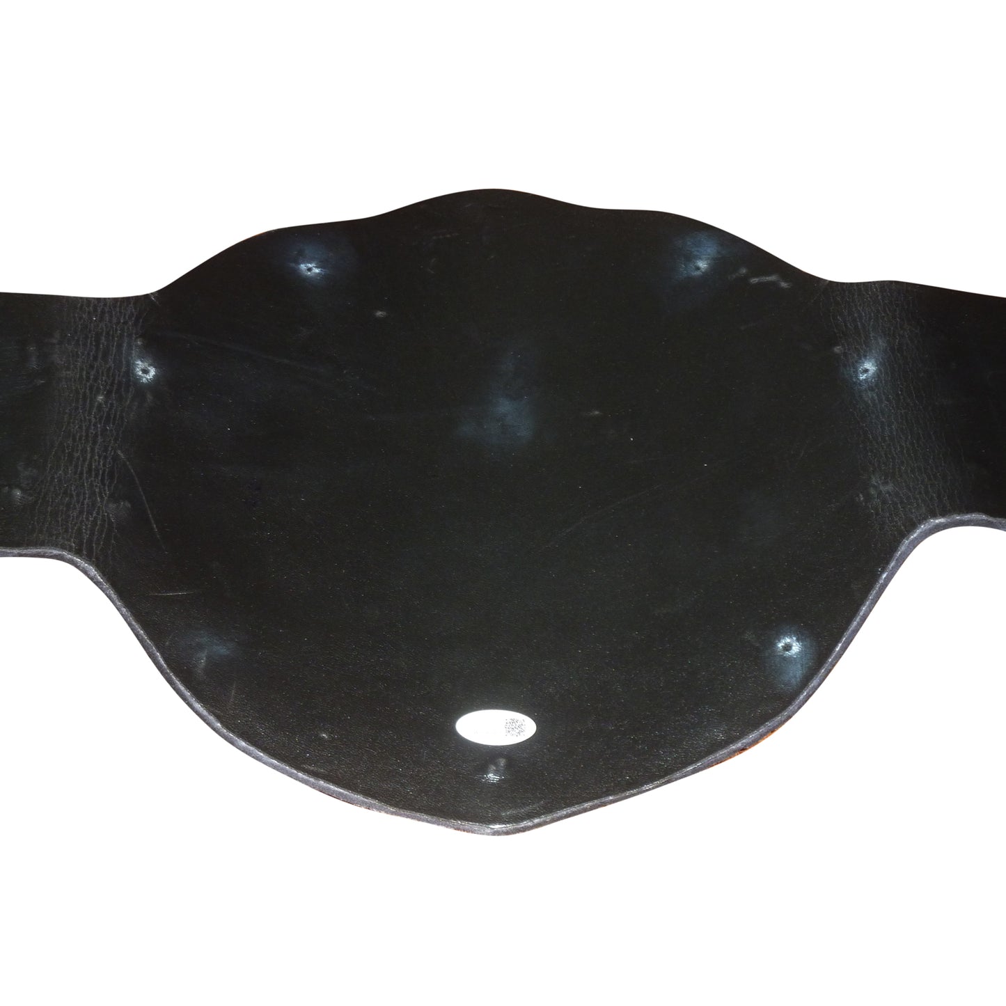 Sting Autographed World Heavyweight Wrestling Championship Title Belt - JSA