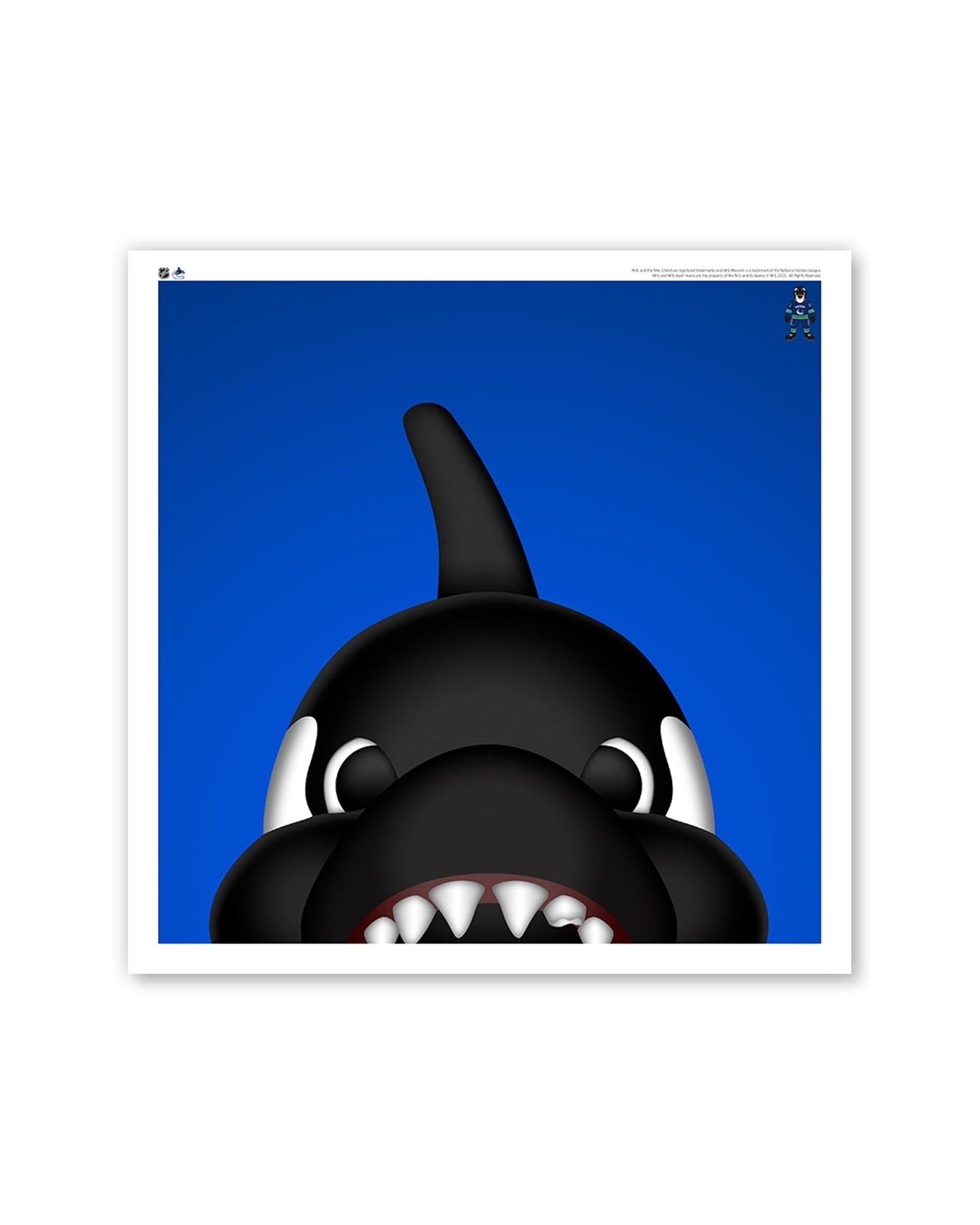 Minimalist Fin