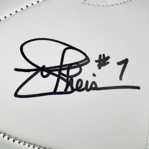 Joe Theismann Autographed Washington Redskins Logo Football w/ "SB XVII Champs"