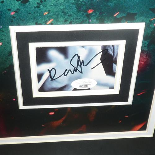 Harry Potter And The Deathly Hollows Full-Size Movie Poster Deluxe Framed with Daniel Radcliffe and Ralph Fiennes Autographs - JSA