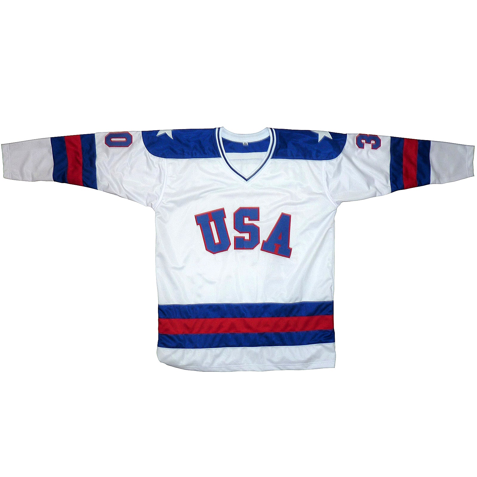 Vintage Michigan Nationals Hockey Jersey