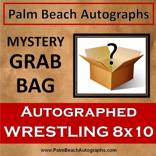 MYSTERY GRAB BAG - Wrestling WWF/WCW/WWE Autographed 8x10 Photo