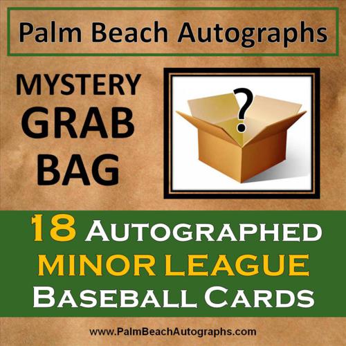 MYSTERY GRAB BAG - 18 Autographed Baseball Cards - Minor Leagues